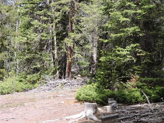 00 Georgia Pass Lookout Jefferson, CO 80456