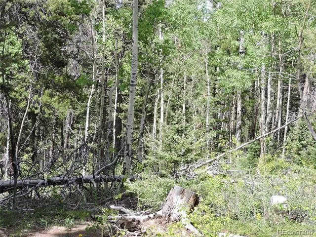 00 Georgia Pass Lookout Jefferson, CO 80456