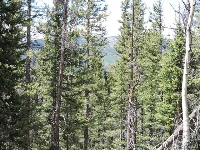 00 Georgia Pass Lookout Jefferson, CO 80456
