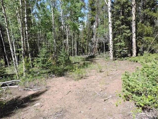 00 Georgia Pass Lookout Jefferson, CO 80456