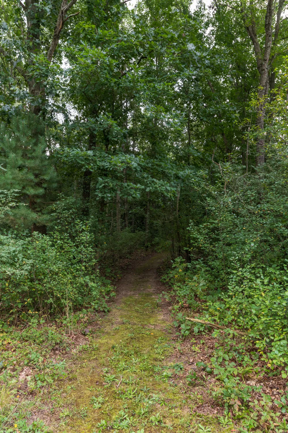 58505 Co Rd 657 Mattawan, MI 49071