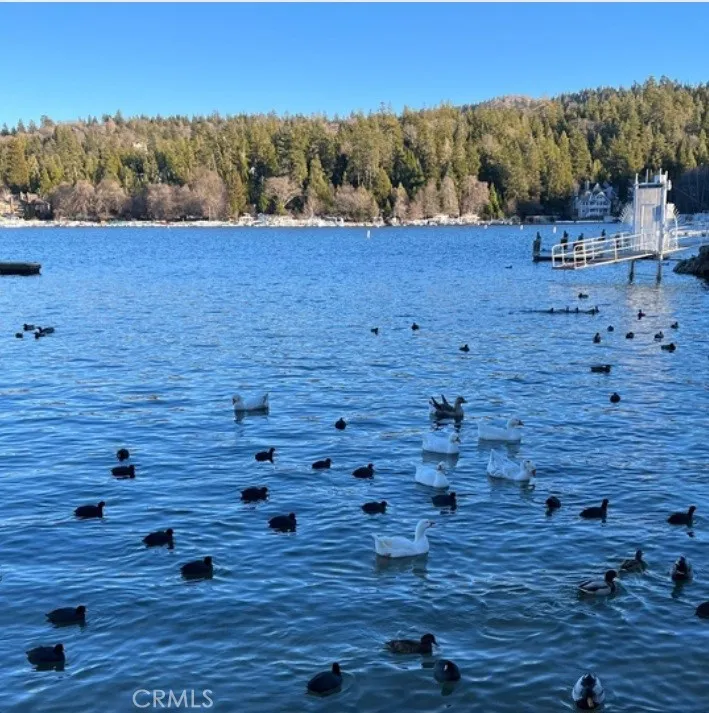 1228 Acadia Lake Arrowhead, CA 92352