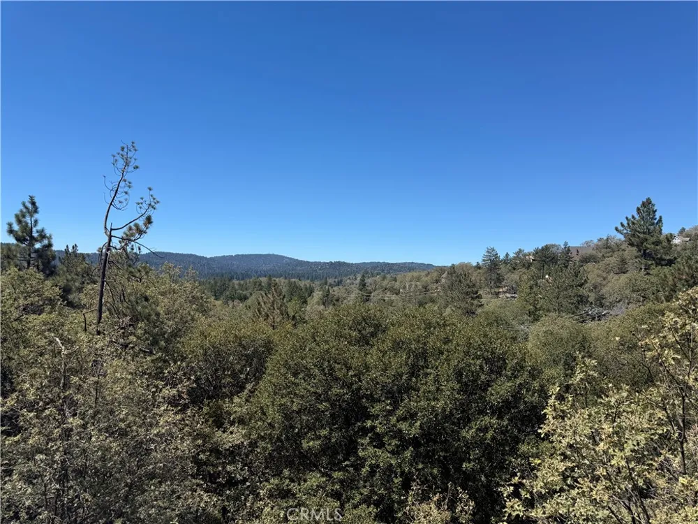 1228 Acadia Lake Arrowhead, CA 92352