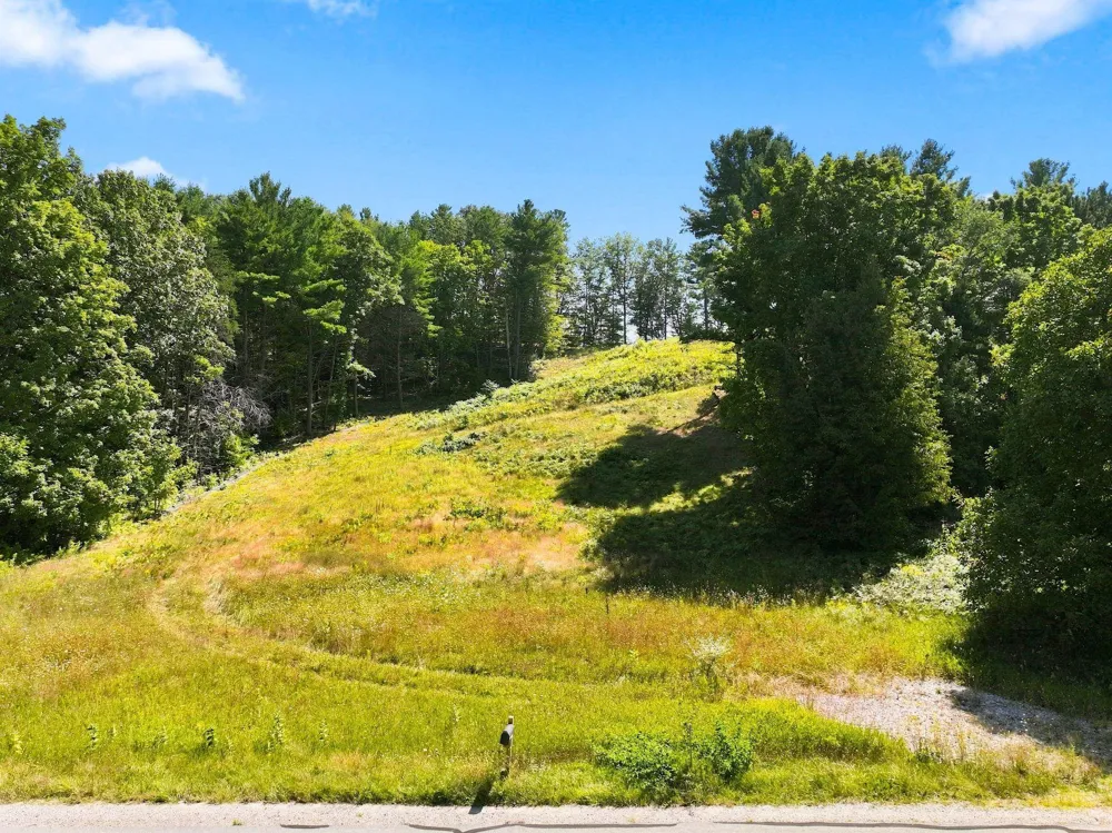 Bluff Road Peninsula Township, MI 49686