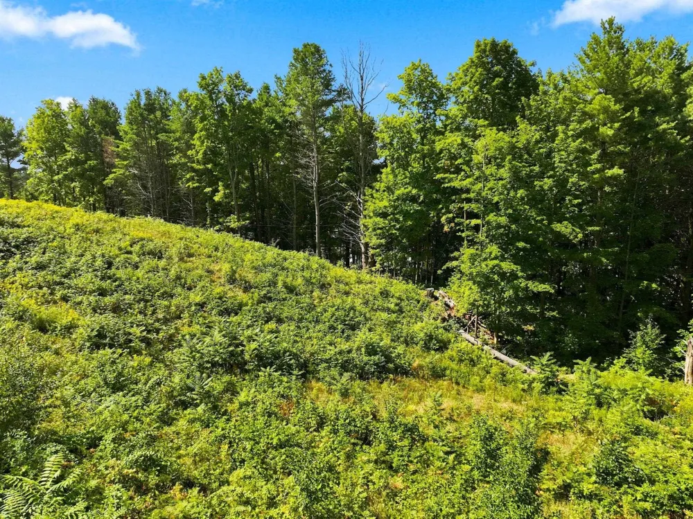 Bluff Road Peninsula Township, MI 49686