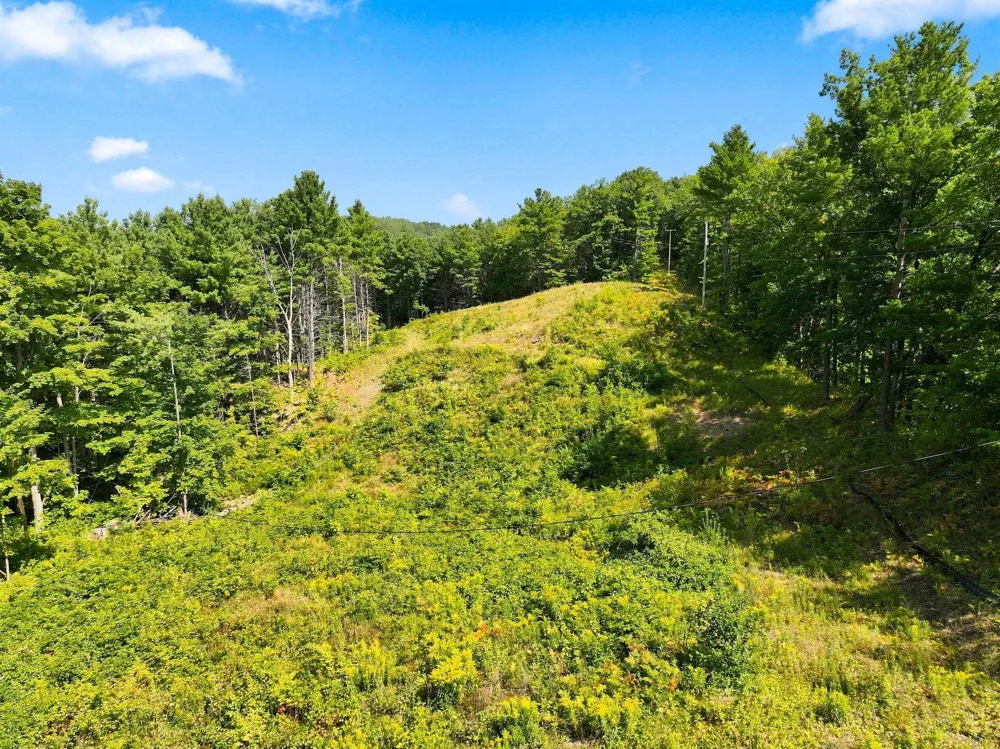 Bluff Road Peninsula Township, MI 49686