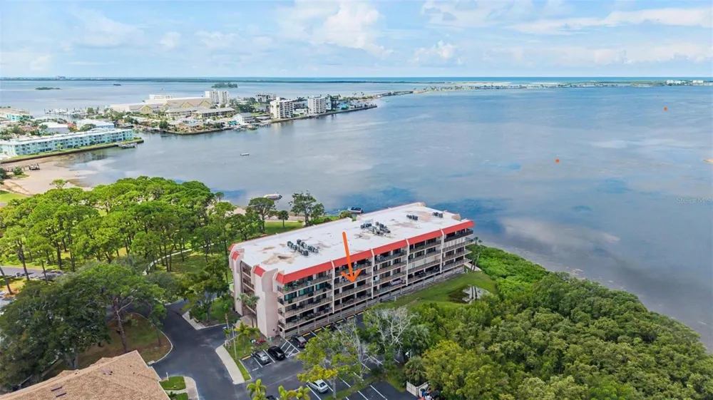 2700 BAYSHORE BOULEVARD #11202 Dunedin, FL 34698