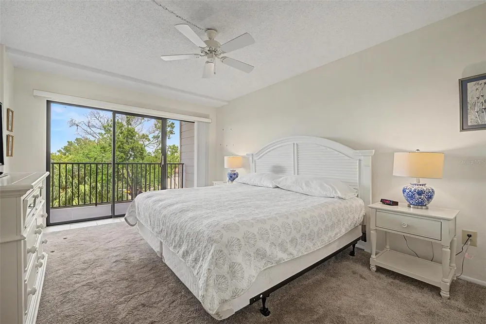 2700 BAYSHORE BOULEVARD #11202 Dunedin, FL 34698