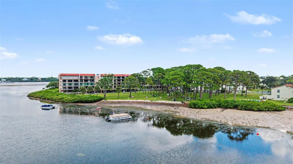 2700 BAYSHORE BOULEVARD #11202 Dunedin, FL 34698