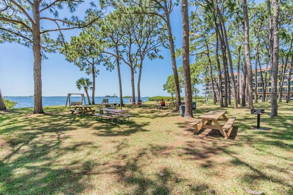 2700 BAYSHORE BOULEVARD #11202 Dunedin, FL 34698