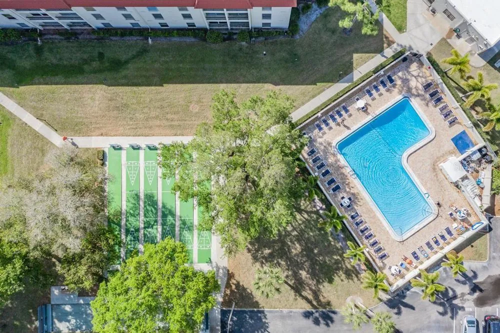 2700 BAYSHORE BOULEVARD #11202 Dunedin, FL 34698