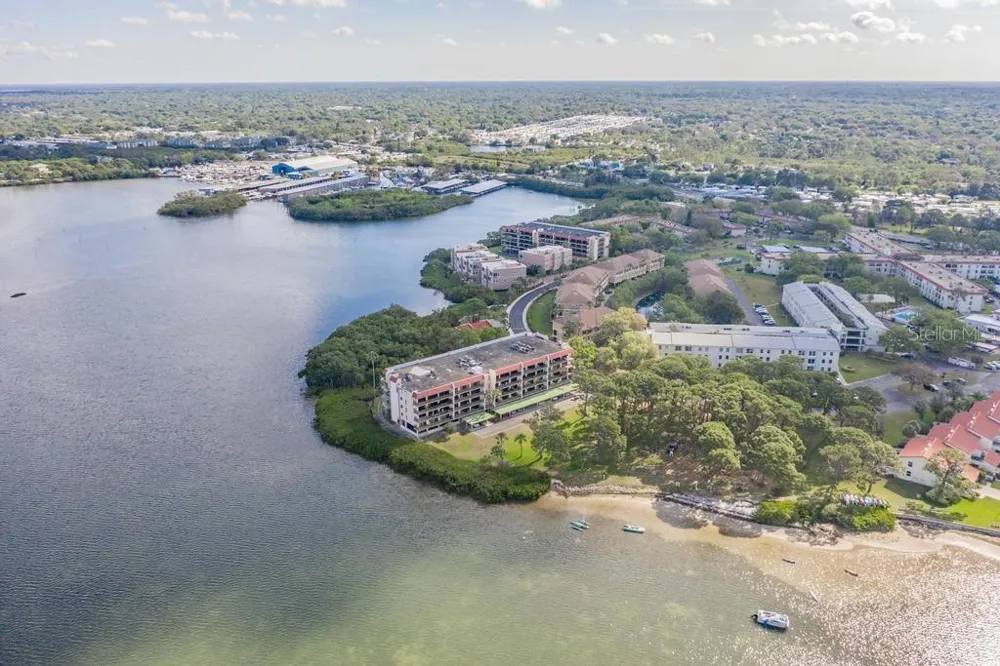 2700 BAYSHORE BOULEVARD #11202 Dunedin, FL 34698