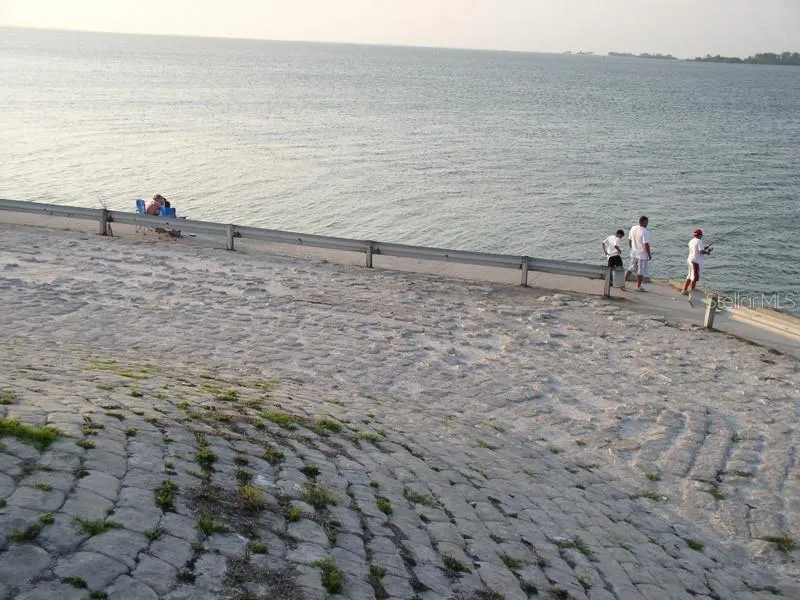 2700 BAYSHORE BOULEVARD #11202 Dunedin, FL 34698