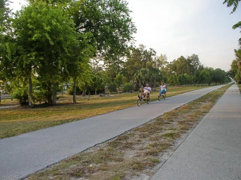2700 BAYSHORE BOULEVARD #11202 Dunedin, FL 34698