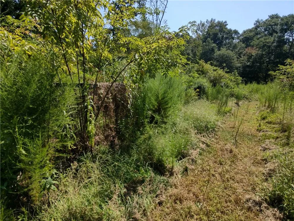 940 County Road 387 Cedar Bluff, AL 35959