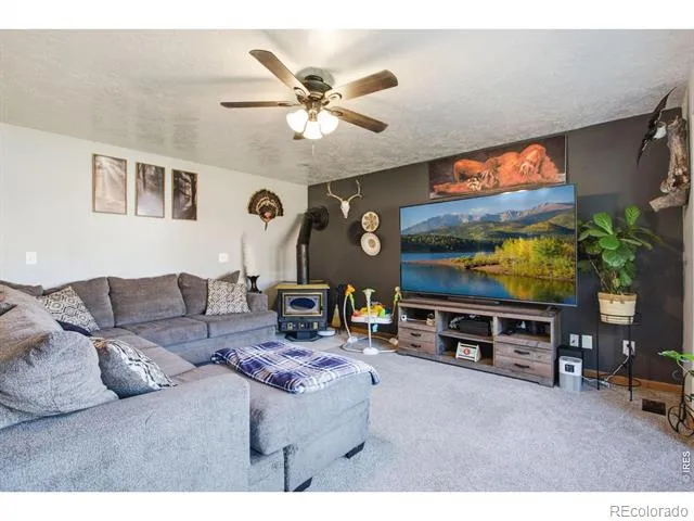 1185 Collins Street Eaton, CO 80615