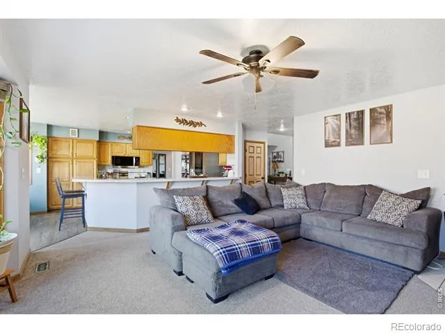 1185 Collins Street Eaton, CO 80615