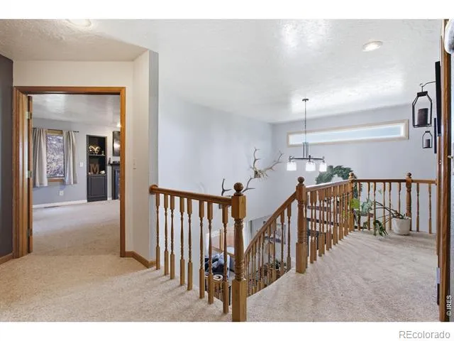 1185 Collins Street Eaton, CO 80615
