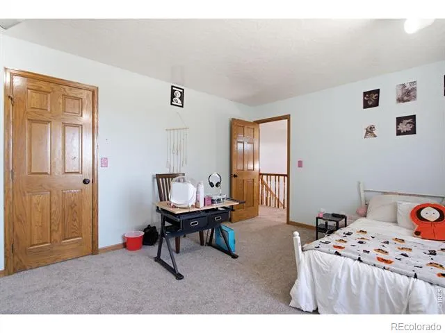 1185 Collins Street Eaton, CO 80615