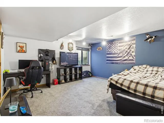 1185 Collins Street Eaton, CO 80615