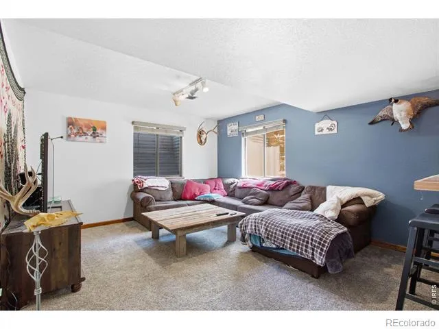 1185 Collins Street Eaton, CO 80615