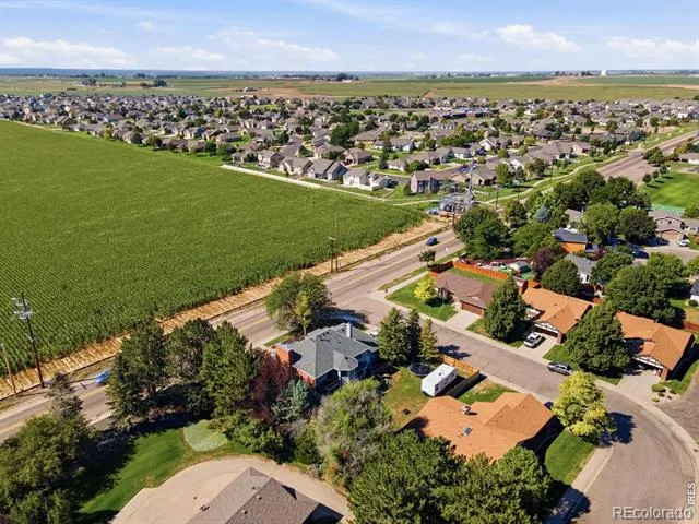1185 Collins Street Eaton, CO 80615