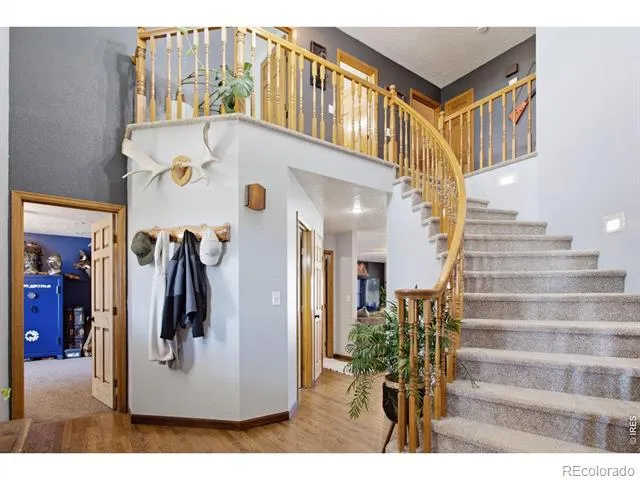 1185 Collins Street Eaton, CO 80615