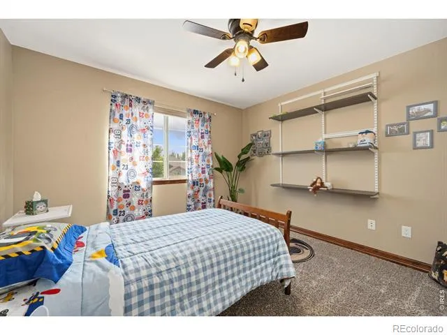 4527 Tarragon Drive Johnstown, CO 80534