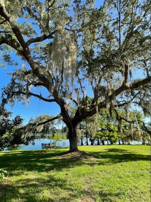 1210 GEM LANE Lake Helen, FL 32744