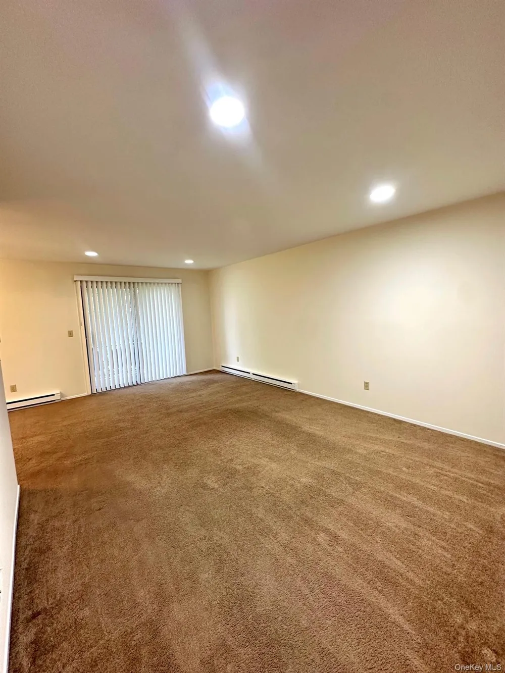 1 Germonds Village #14 Bardonia, NY 10954