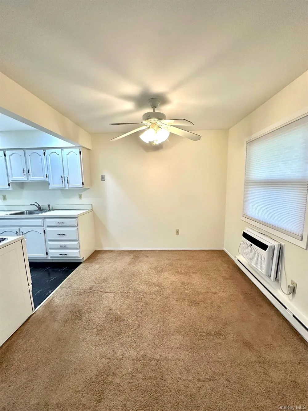 1 Germonds Village #14 Bardonia, NY 10954