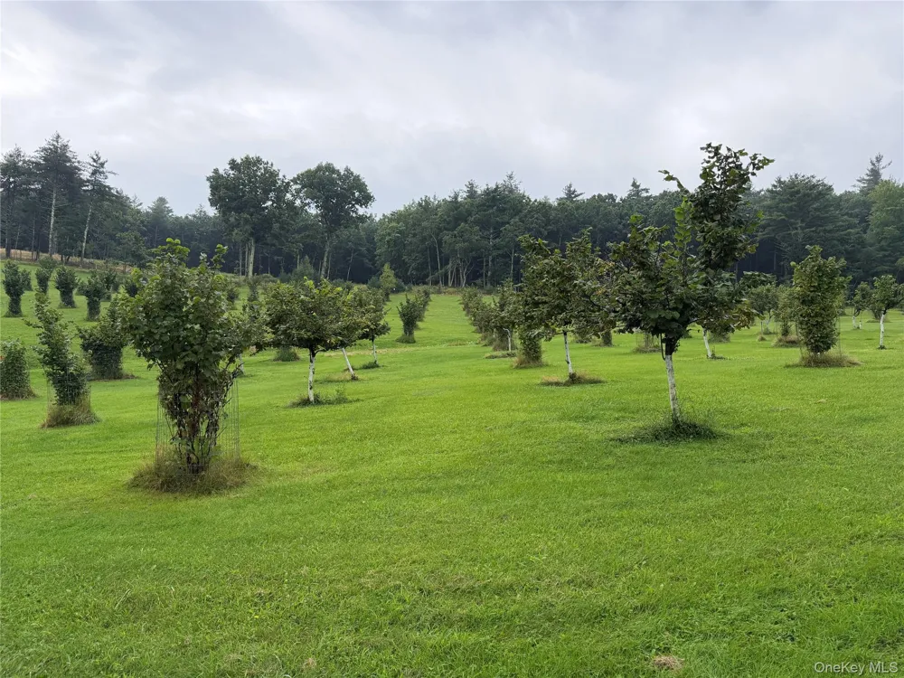151 Prospect Hill Road Cuddebackville, NY 12729