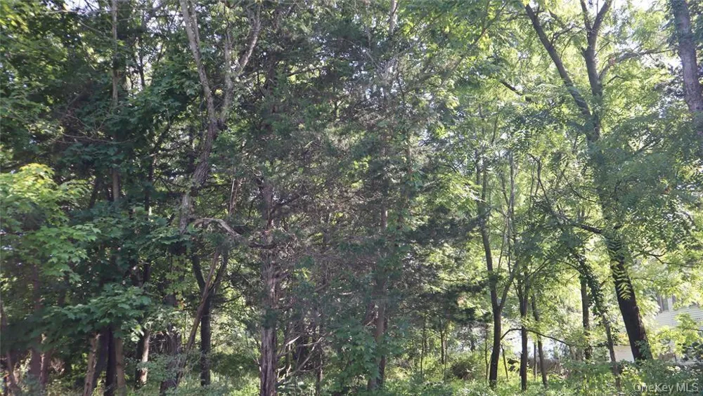 126 Huckleberry Turnpike Wallkill, NY 12589