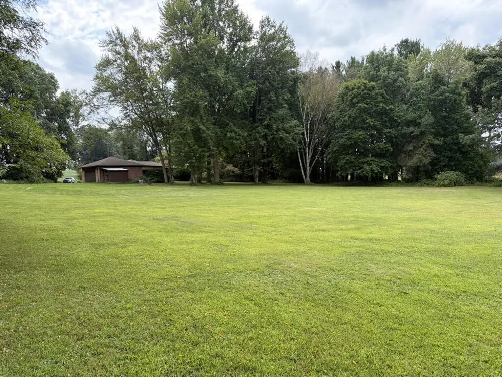 10399 Condit Road Albion Township, MI 49224