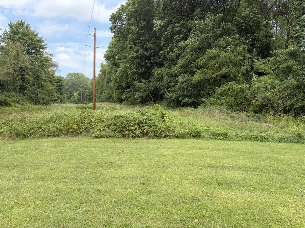 10399 Condit Road Albion Township, MI 49224