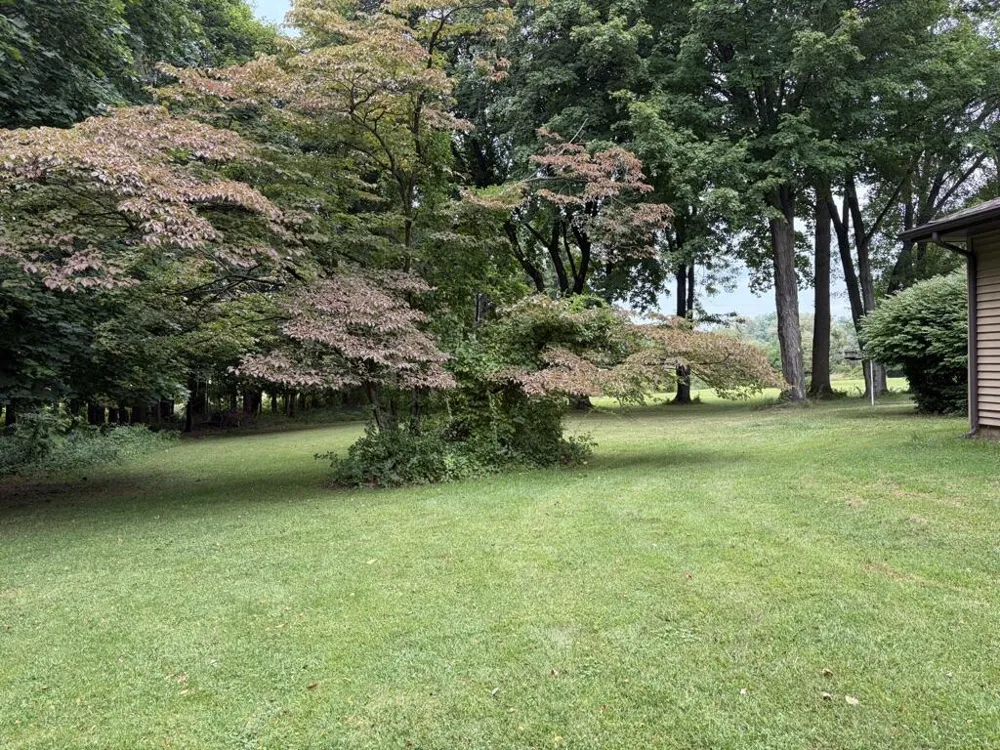 10399 Condit Road Albion Township, MI 49224