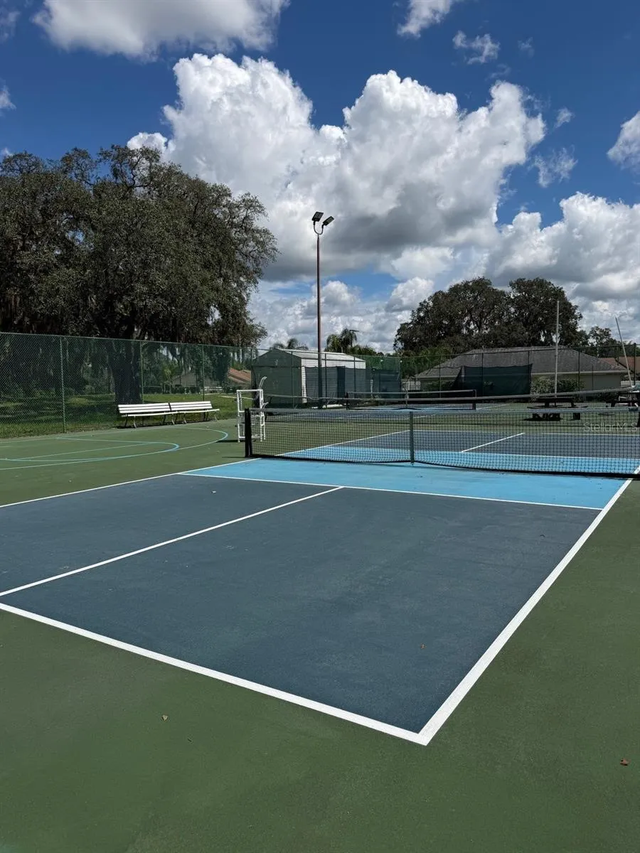 13315 GOLF RIDGE PLACE Hudson, FL 34669