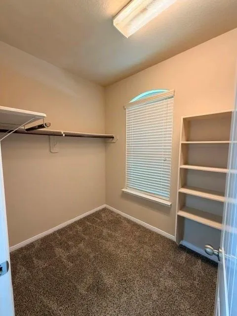 9 Supiro Court Manvel, TX 77578