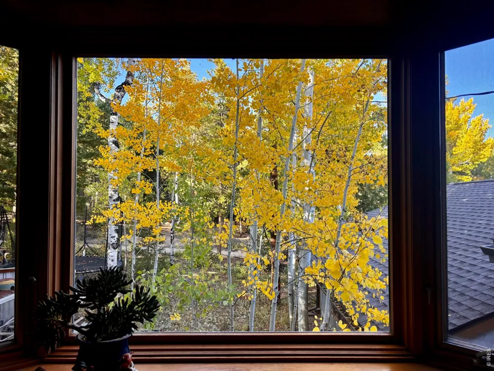 129 Sky View Drive S Nederland, CO 80466