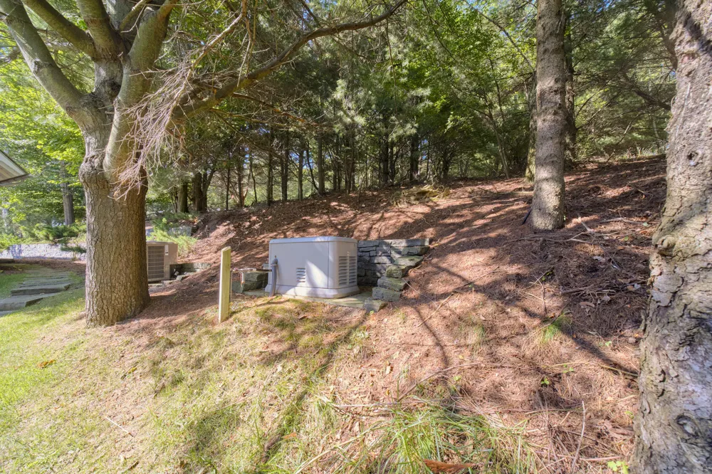 12493 Lakeview Road Bear Lake, MI 49614