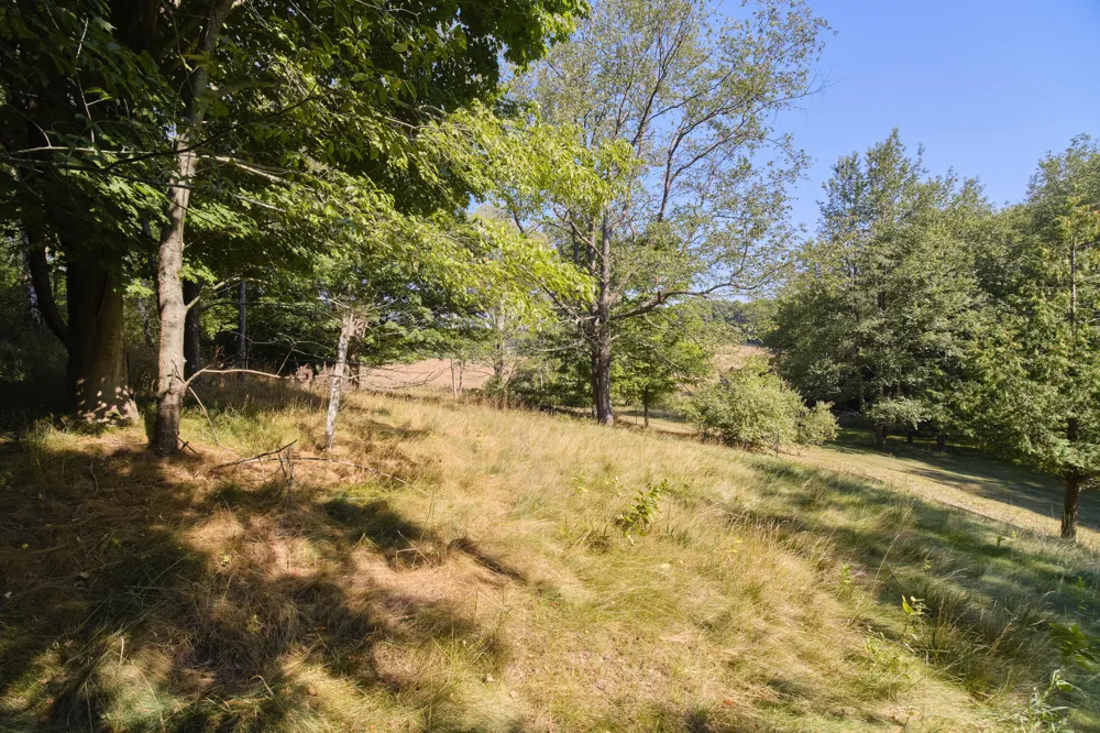 12493 Lakeview Road Bear Lake, MI 49614