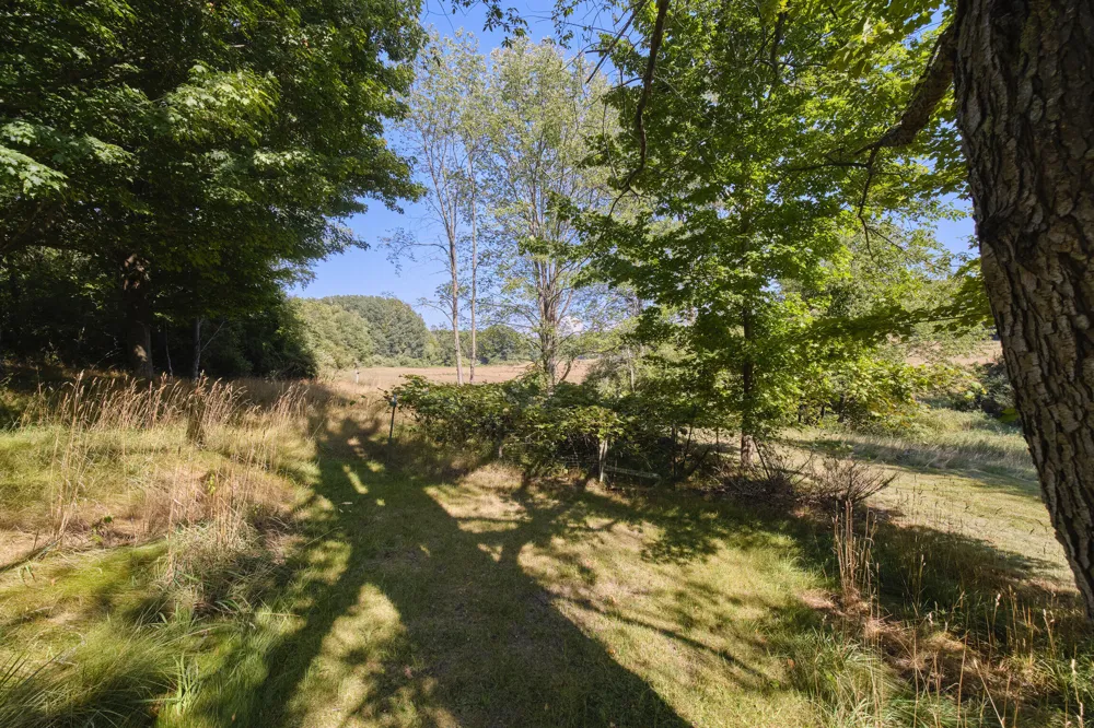 12493 Lakeview Road Bear Lake, MI 49614