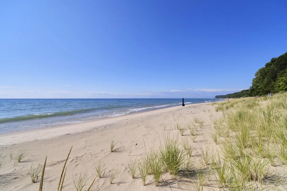 12493 Lakeview Road Bear Lake, MI 49614
