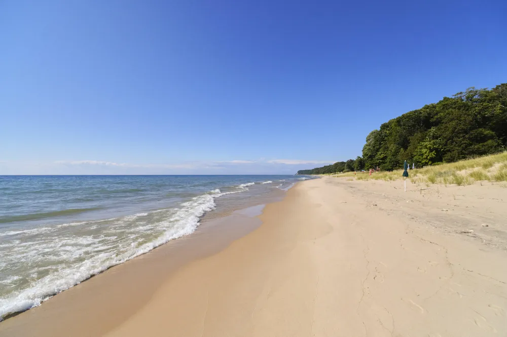 12493 Lakeview Road Bear Lake, MI 49614