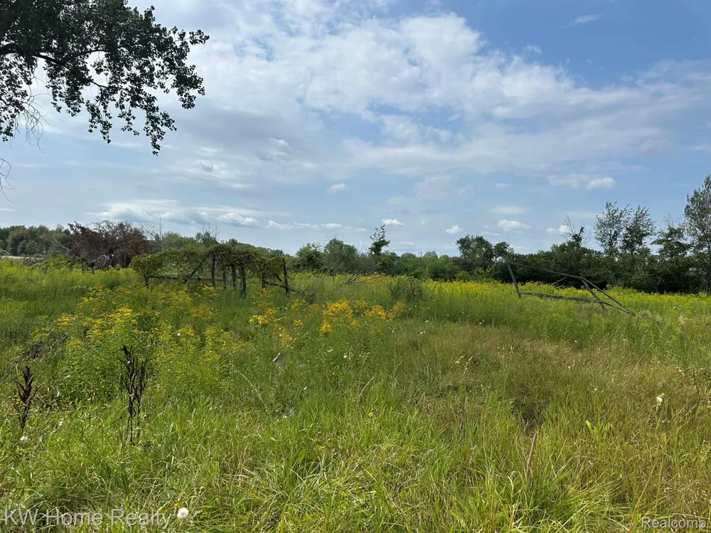 2911 E Sanilac Road Wells Township, MI 48723