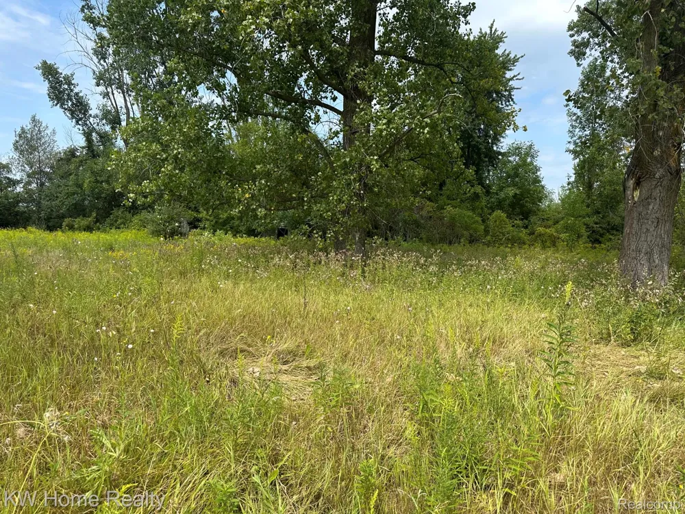 2911 E Sanilac Road Wells Township, MI 48723