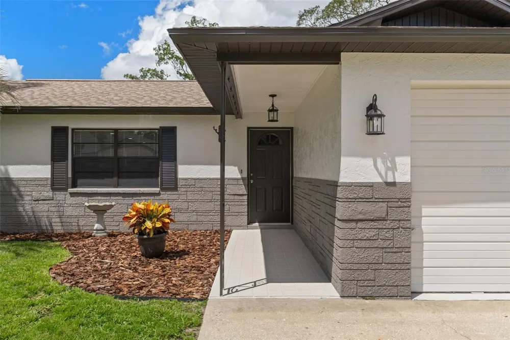 2357 GIOVANNI AVENUE Spring Hill, FL 34608