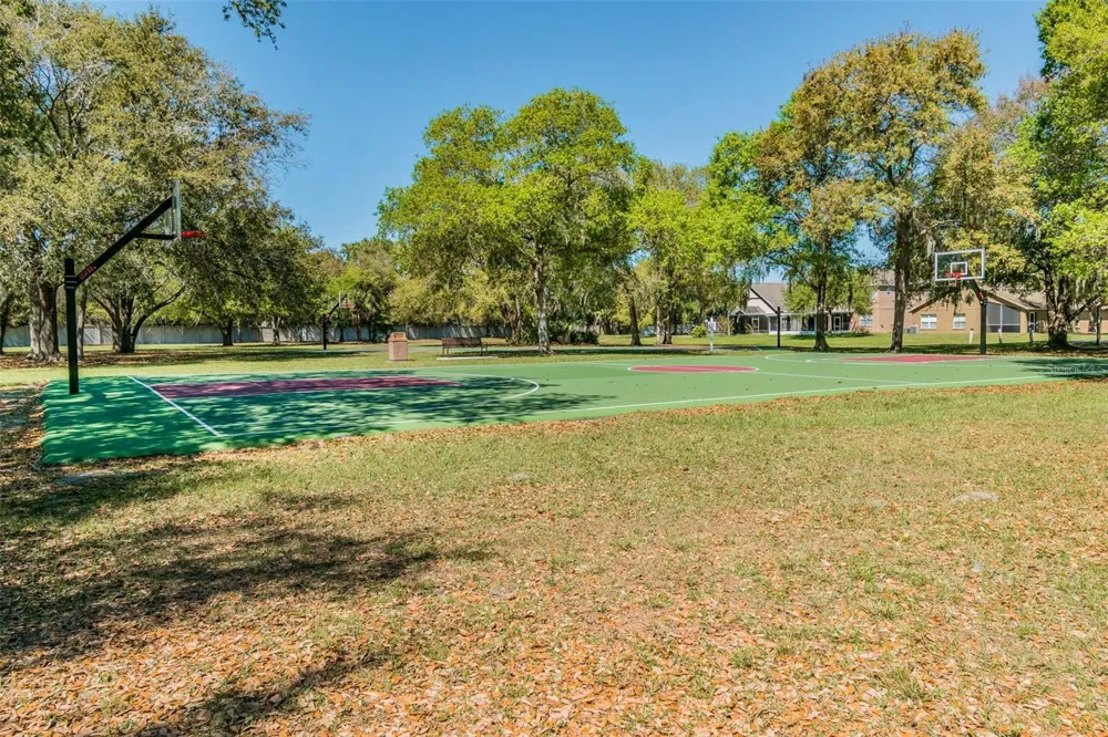 9905 BRANFORD COURT Riverview, FL 33578