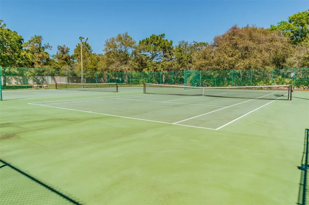 9905 BRANFORD COURT Riverview, FL 33578