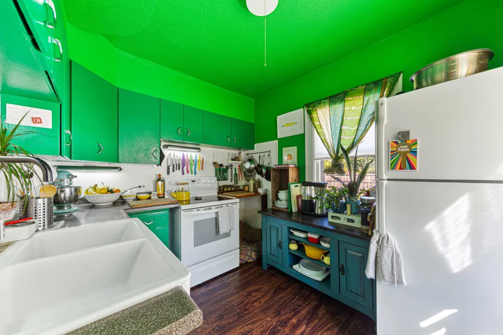 1009 E 42nd Street Minneapolis, MN 55407
